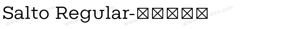 Salto Regular字体转换